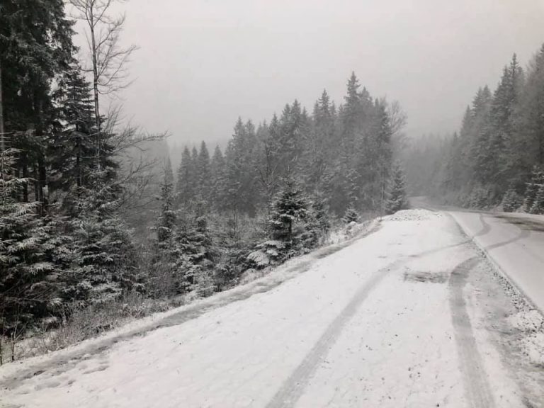 Справжня зима: українські Карпати завалило снігом (фото)
