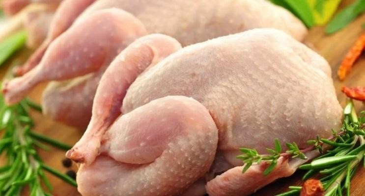 В Україну завезли заражену сальмонелою курятину з Польщі