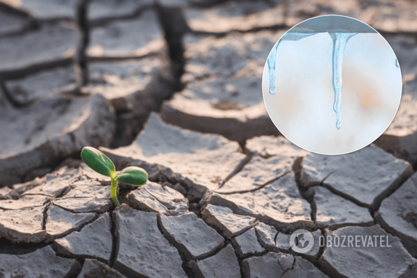 Настане посуха? Метеорологиня попередила про нову небезпеку в Україні через відсутність снігу