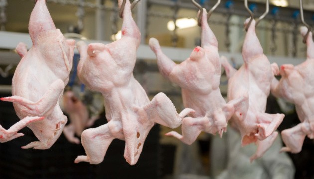 ЄС частково зняв заборону на ввезення курятини з України