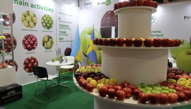 Україну назвали одним із провідних виробників овочів і фруктів у Європі