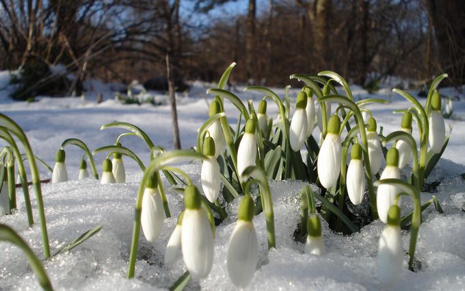 Зима повернеться в Україну в березні: синоптик пообіцяв до -15°