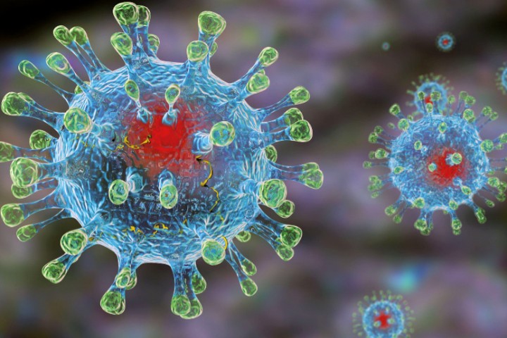 Як виник коронавірус: версії вчених