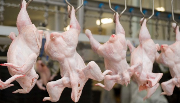 Євросоюз зняв заборону на експорт м’яса птиці з України