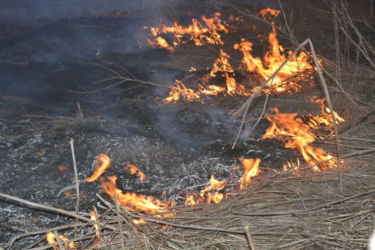 Вогонь уже біля будинків: жахливі наслідки “пекельного” обстрілу на Донбасі. Навколо дим і полум’я
