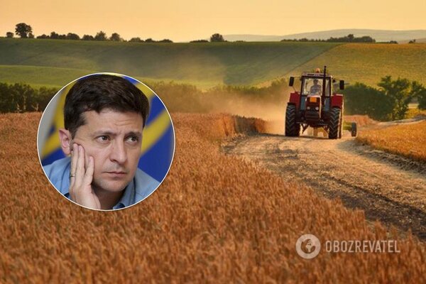 Як отримати землю безплатно та скільки вона буде коштувати: в Україні запустять ринок