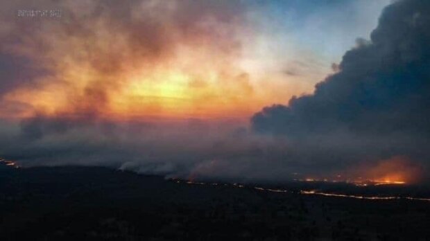 Дим з Чорнобильської зони пішов на Київ: повітря у столиці найзабрудненіше у світі – фото, відео