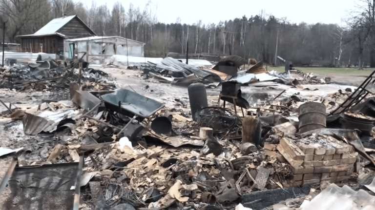 Журналіст показав жахливі наслідки масштабних пожеж на Житомирщині. Відео