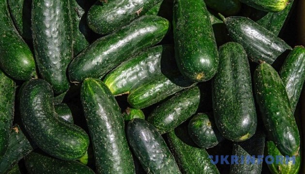 Мережа супермаркетів Biedronka видавала українські огірки за польські