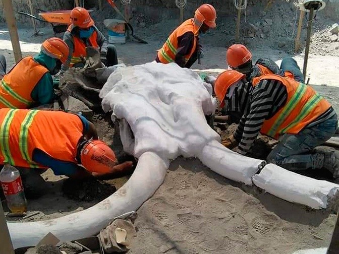 У Мехіко вчені виявили древні поховання людей і мамонтів