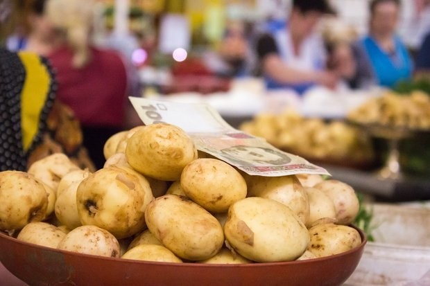 Чому молода українська картопля дорожча, ніж закордонна: несподівані пояснення