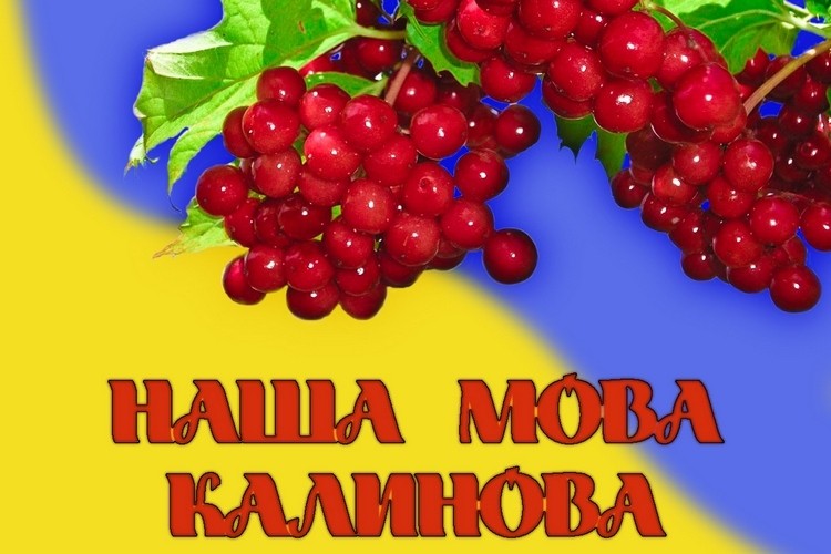 «Не поважаєте, не подобається вам Україна і українська мова – виїжджайте!»: доктор наук зробив гостру заяву