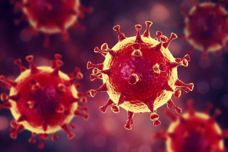 Спекотне літо “вб’є” коронавірус? У ВООЗ дали прогноз
