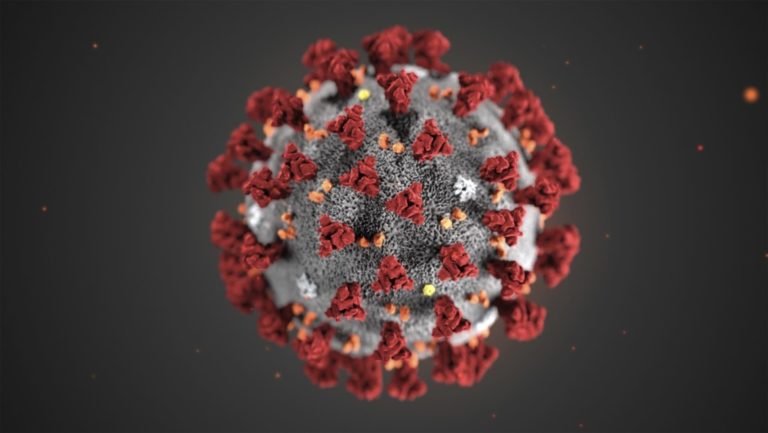 Вчені заявили про зникнення коронавірусу