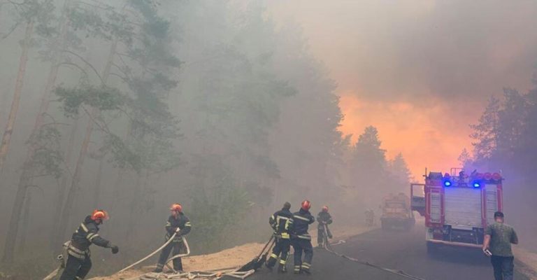 На Луганщині загорілися десятки гектарів лісу: 4 людини загинуло, 9 – поранені, знищені сотні будинків