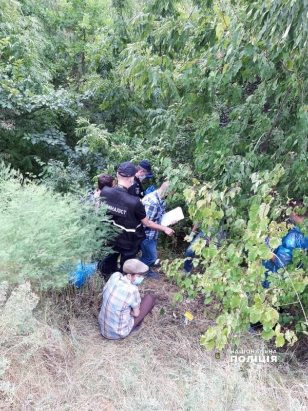 На Київщині підліток убив 12-річну дівчинку і заховав тіло