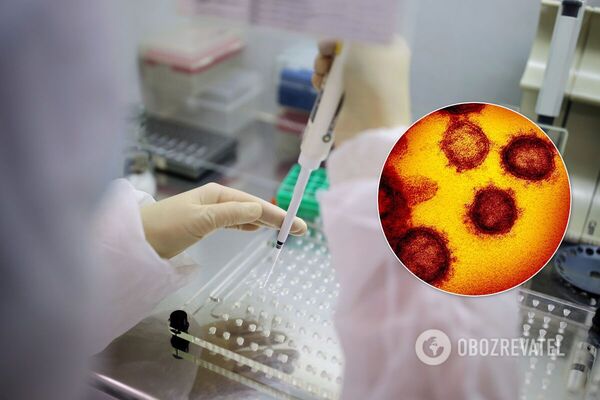 Вчені розкрили незвичайну особливість коронавірусу