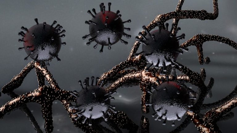 Новий штам коронавірусу відрізняється надмірною кровожерливістю – вірусолог