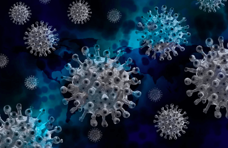 Учені визнали популярний делікатес рознощиком коронавірусу