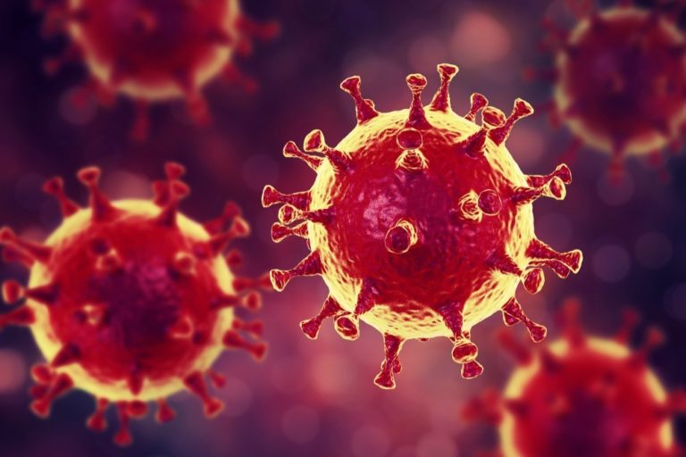 Знайшли справжній шлях проникнення коронавірусу в організм