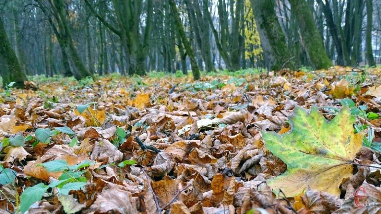 В Україну суне потужний холод