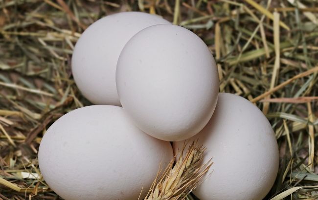 Ціни на яйця в Україні піднімуться ще більше: стануть “золотими”