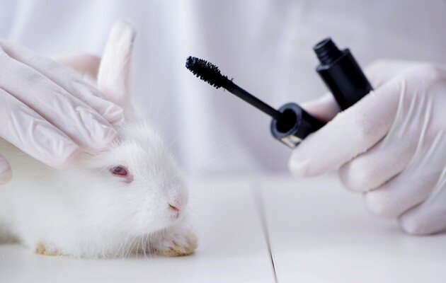 В Україні заборонили тестувати косметику на тваринах