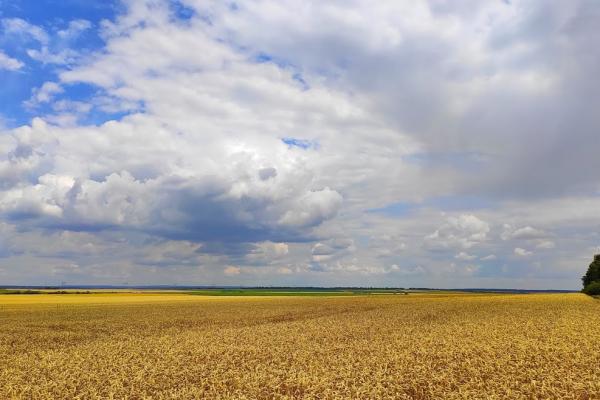 В Україні названо регіони з найдорожчою землею у 2021 році