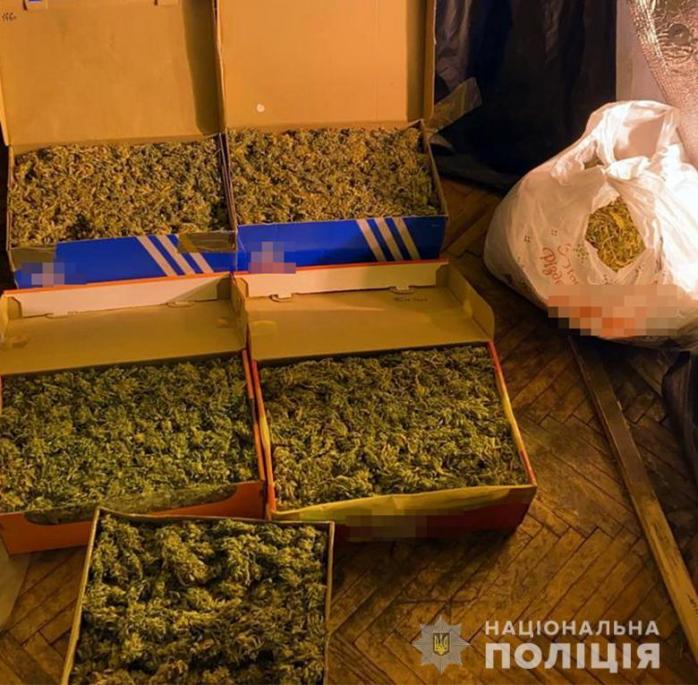 Вилучили наркотиків на 10 млн гривень: у столиці жінка організувала масштабний наркобізнес (фото, відео)