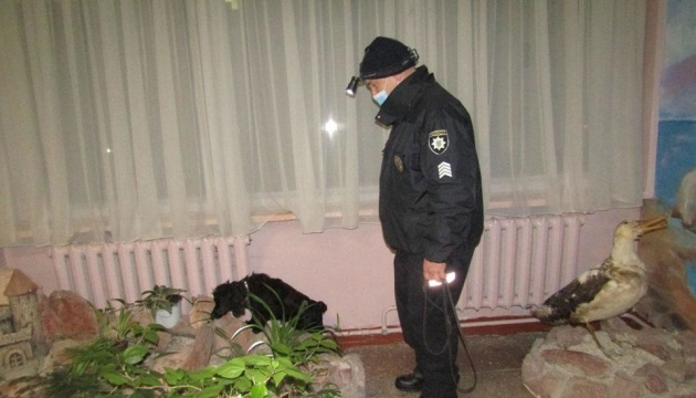 Дівчинка «замінувала» школу в Чернігові, побившись об заклад із подругою – поліція
