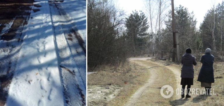 2-річна дитина сама пішла до лісу: її знайшли по слідах на снігу. Фото і відео
