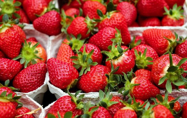 Ціна полуниці б’є рекорди: скільки коштує ягода