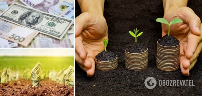 В Україні з 1 липня відкриють ринок землі: скільки коштуватиме, як купити й продати