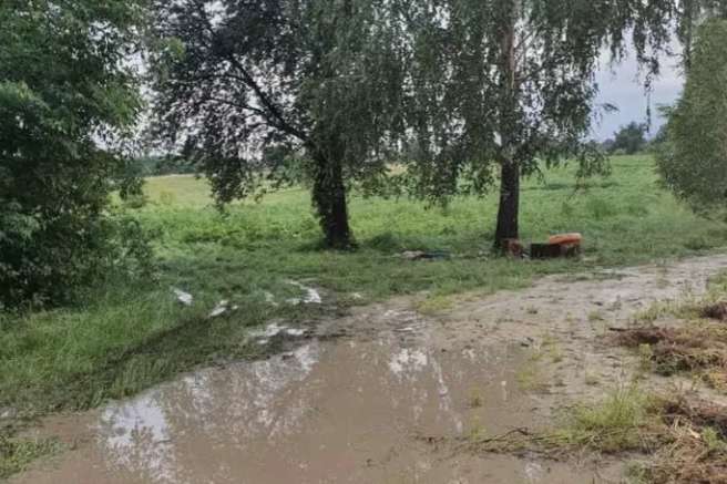 Ховалися під деревом від зливи: на Черкащині блискавка вбила двох людей