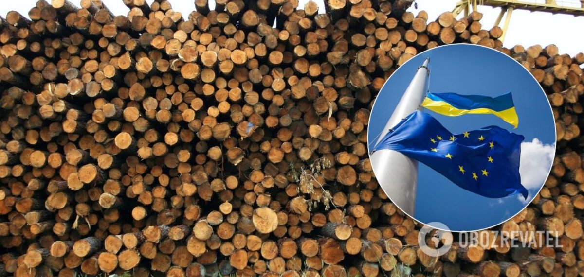 В Україні хочуть відновити експорт лісу