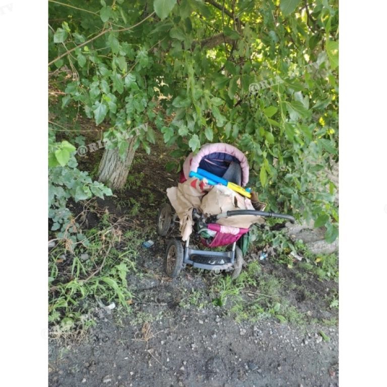 Місцевих мешканців налякав дитячий візок із трупом тварини