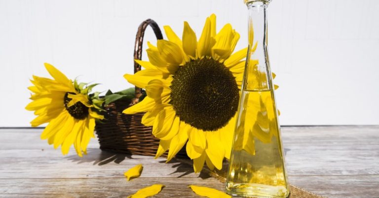 У магазинах рекордні ціни на соняшникову олію: чому український продукт за кордоном удвічі дешевший