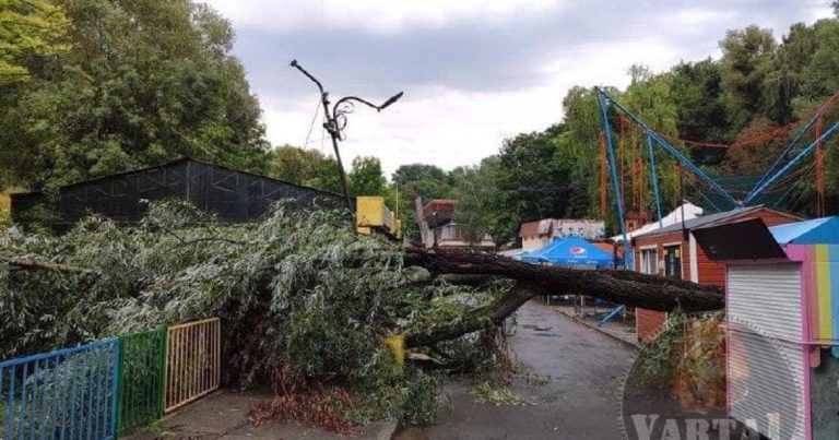 Негода знеструмила 123 населені пункти у Львівські області і повалила десятки дерев: фото