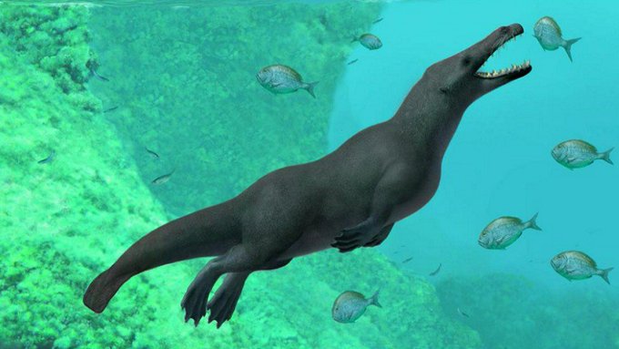 У Єгипті виявили скам’янілість кита з чотирма лапами