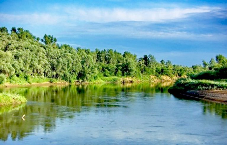 У річках України знайшли залишки препаратів від Covid-19