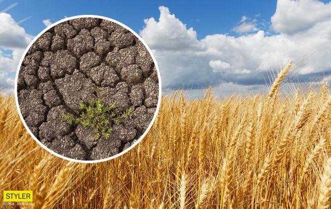 Пустелі замість чорноземів, арктичні морози і торнадо: якою буде Україна до 2100 року