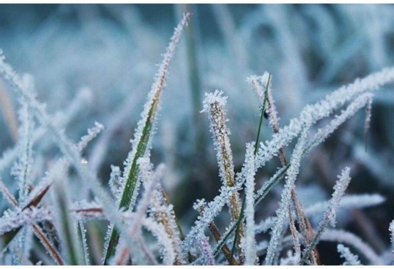 Заморозки в Україні: коли чекати мінусову температуру