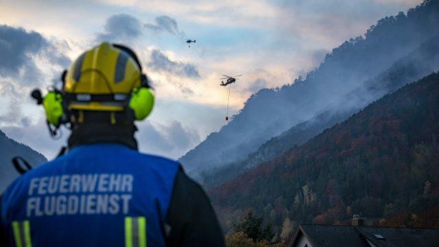 В Австрії триває найбільша лісова пожежа в історії країни – Відень в небезпеці