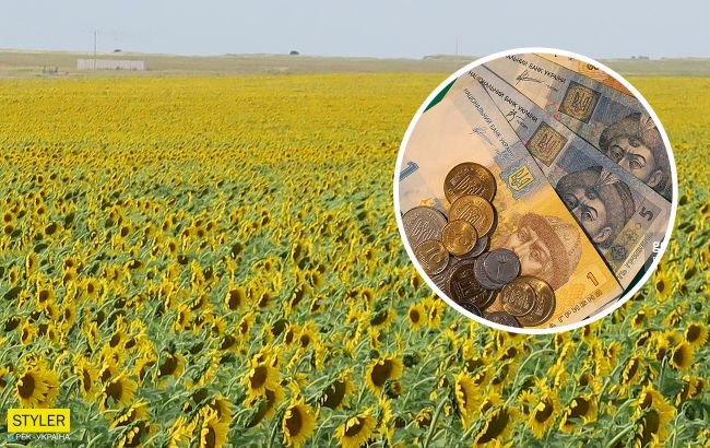 В Україні змінилися ціни на соняшникову олію: скільки воно зараз коштує
