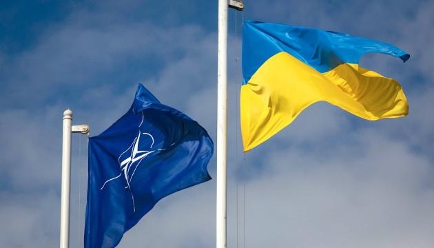 Українців закликають підписувати петицію до НАТО щодо захисту українського неба