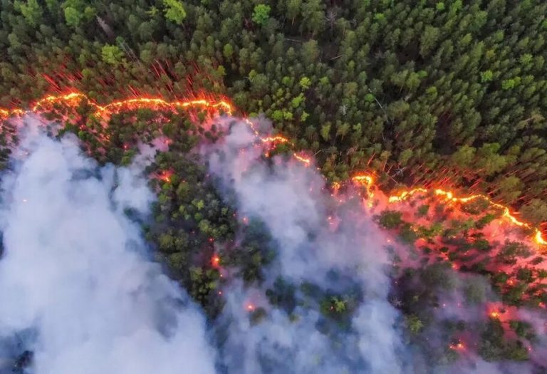 У Сибіру масштабні безконтрольні лісові пожежі: не вистачає військових, щоб їх гасити