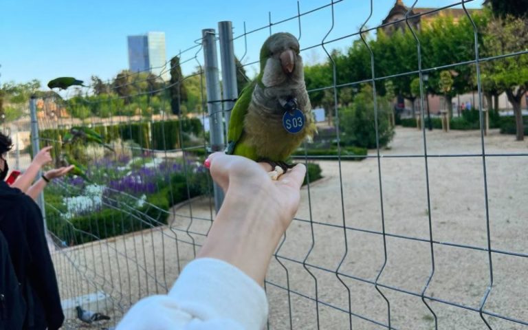 “Комедія)”: дружина Шарія відреагувала на його затримання, показавши фото папуги