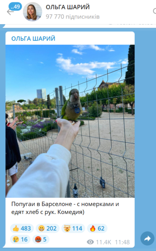 Скріншот / © 