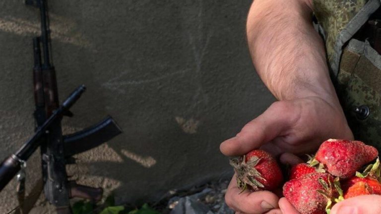 На Херсонщині російські окупанти просяться до місцевих жителів на роботу: збирати полуницю, – ОК “Південь”