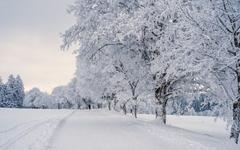 “Весна серед зими”: Синоптик дав неочікуваний прогноз на січень 2023 року